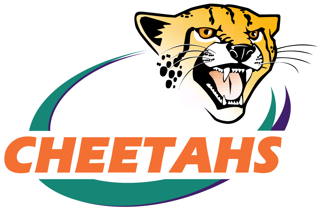 Central Cheetahs 2005-Pres Primary Logo vinyl decal